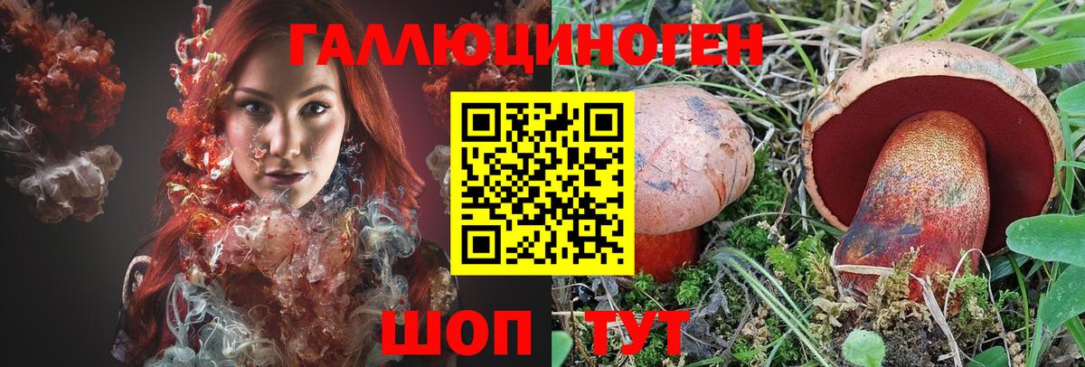 Псилоцибиновые грибы прущие грибы  Вход с VPN  Минеральные Воды 